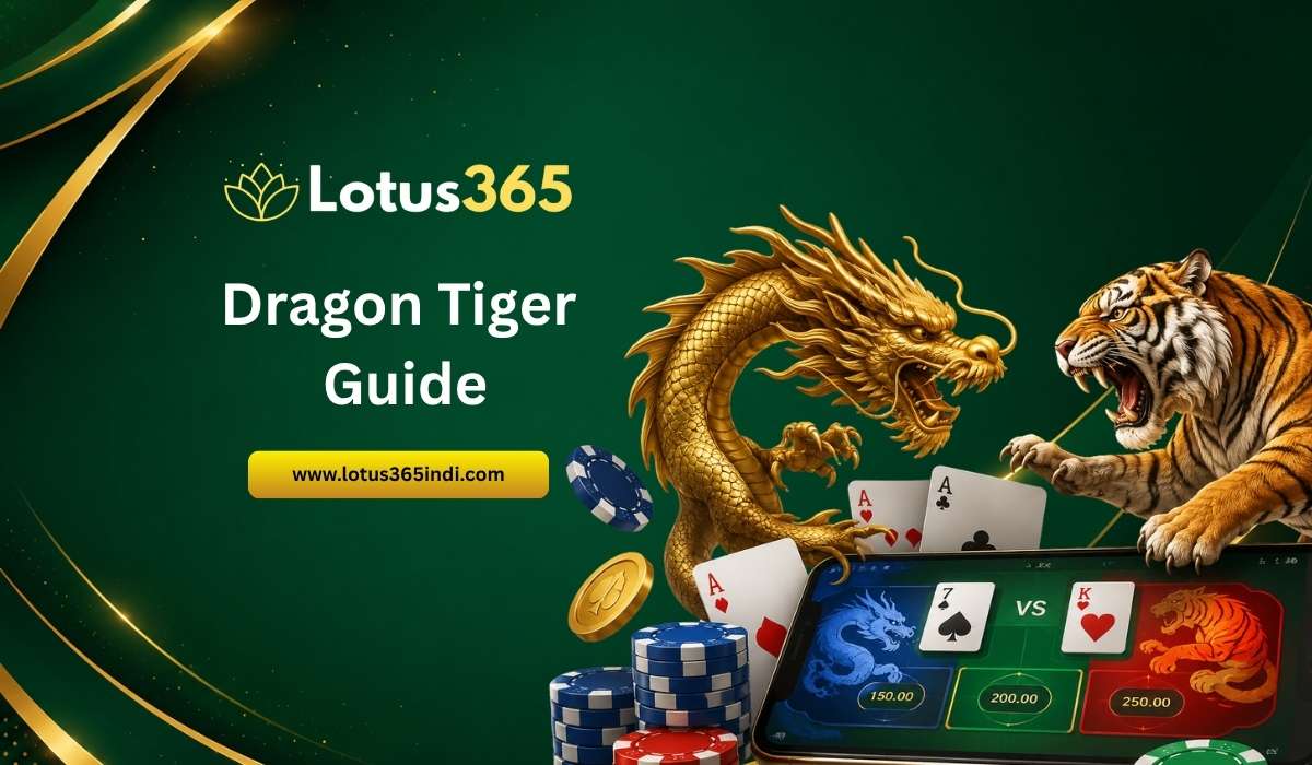 Dragon Tiger Guide